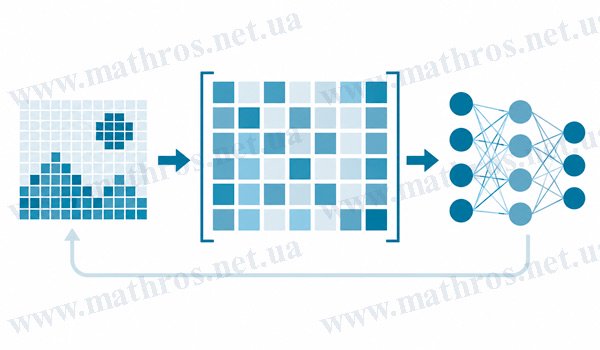 матриці в machine learning